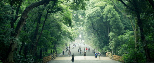 東京自由行 【行程推薦:築地市場→東京鐵塔→麻布台之丘→明治神宮→表參道】