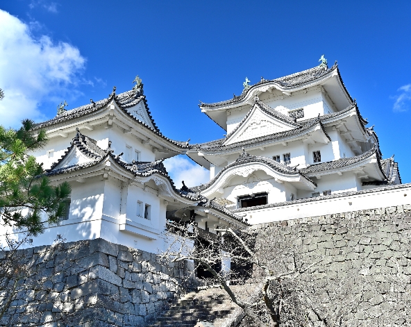 東京自由行