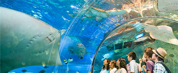 歡樂活動2選1:【A】海底隧道水族館【B】南部觀光